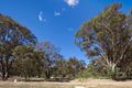 Property photo of 91 Blizzard Circuit Forde ACT 2914