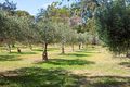 Property photo of 90 Sandalwood Road Gabbadah WA 6041