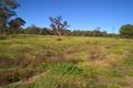 Property photo of 1 Jackson Grove Moree NSW 2400