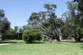 Property photo of 17-19 Barry Street Tootgarook VIC 3941