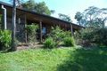 Property photo of 164 Clarkes Track Jaggan QLD 4885