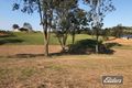 Property photo of 17 Water Lilly Court Pie Creek QLD 4570