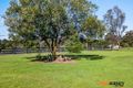 Property photo of 21 Wanaruah Close Wattle Ponds NSW 2330