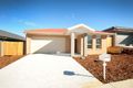 Property photo of 27 Maris King Street Casey ACT 2913