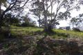 Property photo of 10 Nailer Avenue Bicheno TAS 7215