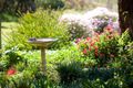 Property photo of 32 Meanderri Drive Inverloch VIC 3996