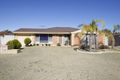 Property photo of 12 Caffrum Green Mirrabooka WA 6061