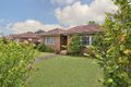 Property photo of 31 Farran Street Lane Cove North NSW 2066