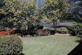 Property photo of 21 Adams Street Muswellbrook NSW 2333