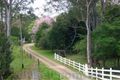 Property photo of 18 Windred Lane Conondale QLD 4552