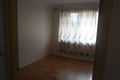 Property photo of 46 Denman Avenue Wiley Park NSW 2195