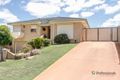 Property photo of 61 The Avenue Alexander Heights WA 6064