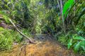 Property photo of 8 Mason Road Kuranda QLD 4881