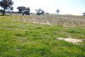Property photo of 1291 Belowra Road Murringo NSW 2586