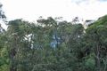 Property photo of 6 Curra Close Frenchs Forest NSW 2086