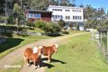 Property photo of 6 Wills Road Abels Bay TAS 7112