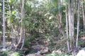 Property photo of 250 Trees Road Tallebudgera QLD 4228