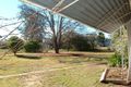 Property photo of 47 Inverell Street Delungra NSW 2403