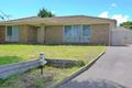 Property photo of 39 Thornbill Drive Carrum Downs VIC 3201