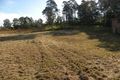 Property photo of 14 Zelman Close Watanobbi NSW 2259
