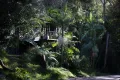 Property photo of 53 Lawrence Hargrave Drive Stanwell Park NSW 2508