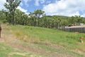 Property photo of 7 Cycad Court Norman Gardens QLD 4701
