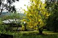 Property photo of 28 Woods Road Closeburn QLD 4520