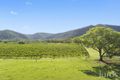 Property photo of 803 Milbrodale Road Broke NSW 2330
