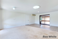 Property photo of 61 Moss Road Camira QLD 4300