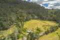 Property photo of 27742 Tasman Highway Pyengana TAS 7216