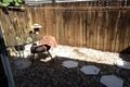 Property photo of 11/462-464 McCoombe Street Mooroobool QLD 4870
