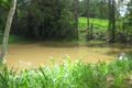 Property photo of 168 Highlands Road Eudlo QLD 4554