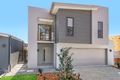 Property photo of 58 Rivina Circuit Coomera QLD 4209