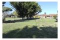 Property photo of 38 White Avenue Armidale NSW 2350