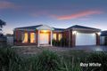 Property photo of 19 Carboni Crescent Lynbrook VIC 3975