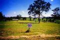 Property photo of 230-234 Deltoro Road Cedar Grove QLD 4285