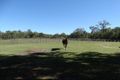 Property photo of 3537 Lowmead Road Lowmead QLD 4676