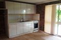 Property photo of 20 Chasselas Avenue Eschol Park NSW 2558