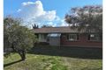 Property photo of 33 Kamilaroi Drive Moree NSW 2400
