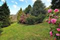 Property photo of 31 Kallista-Emerald Road The Patch VIC 3792