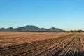 Property photo of 340 View Range Road Kendenup WA 6323