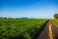 Property photo of 340 View Range Road Kendenup WA 6323