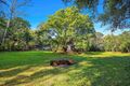 Property photo of 40 Chevallum Road Palmwoods QLD 4555