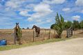 Property photo of 33 Nine Mile Creek Road Koroit VIC 3282