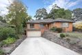 Property photo of 6 Sadie Street Mount Waverley VIC 3149