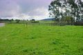 Property photo of 9 Winnaleah Road Winnaleah TAS 7265