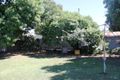 Property photo of 22 Brigalow Street Parkside QLD 4825