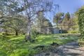 Property photo of 29 Jackson Avenue Coromandel Valley SA 5051