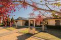 Property photo of 8 Stasinowsky Court Loxton SA 5333