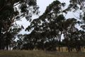 Property photo of 52 Ike Game Road Kalaru NSW 2550